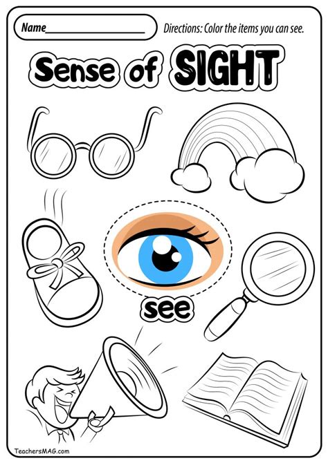 Five Senses Worksheets Teachersmag Com Seeing 5 Senses Kindergarten Worksheet - Seeing 5 Senses Kindergarten Worksheet