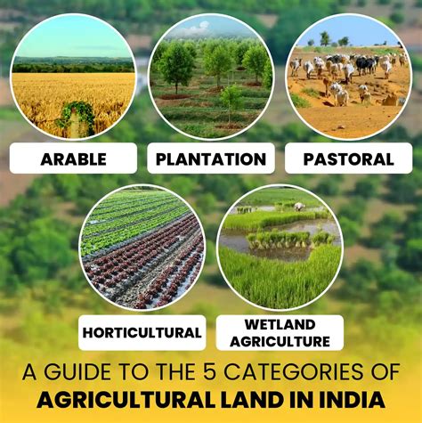 Five Types Of Land In Tamil