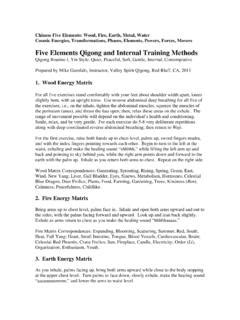 Download Five Elements Qigong And Internal Training Methods 