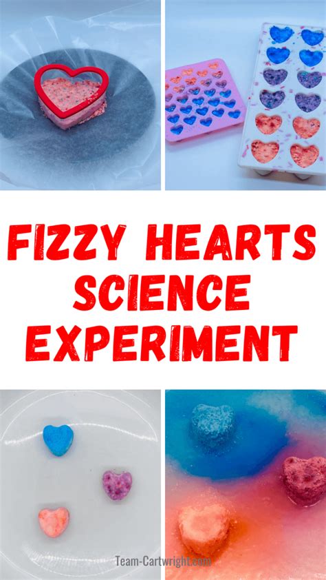 Fizzy Heart Science Experiment Living Life And Learning Heart Science Experiment - Heart Science Experiment