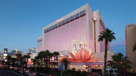 th?q=flamingo%20casino