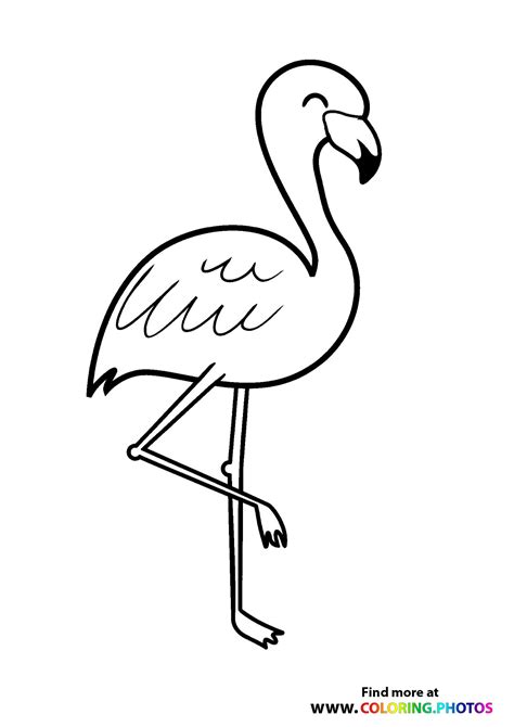 flamingo coloring sheet
