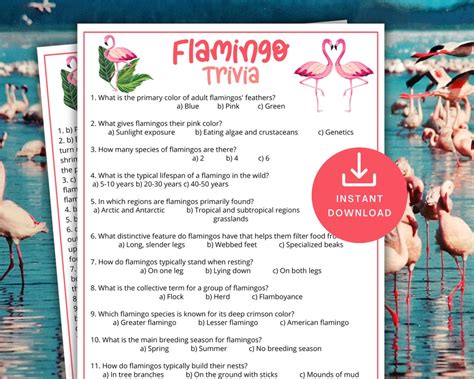 flamingo question and answers
