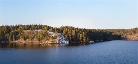 flamskyddsmedel växter