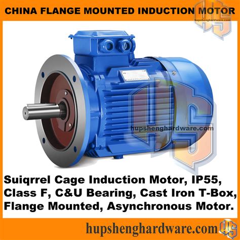 Flange Mounted Motor