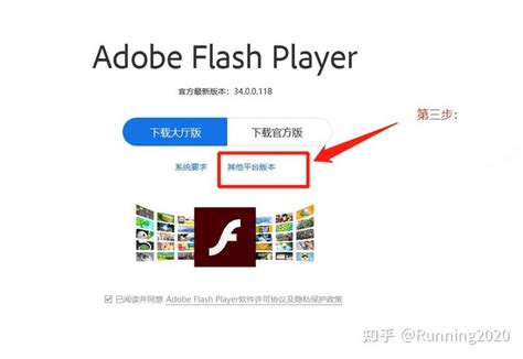 flash控件如何下载？