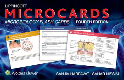 Flash Cards For Microbiology