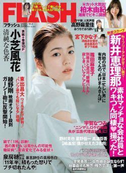 flash magazine japan pdf