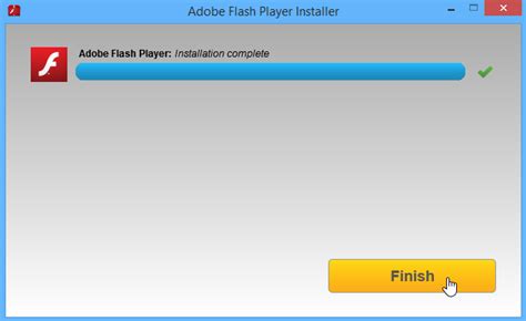 flash player plug in