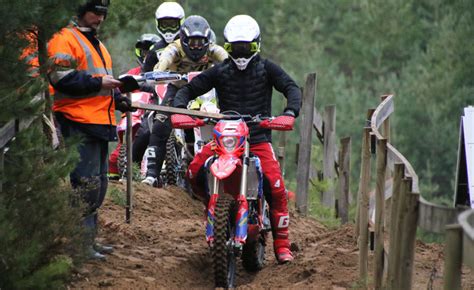 flashback toreboda 2023