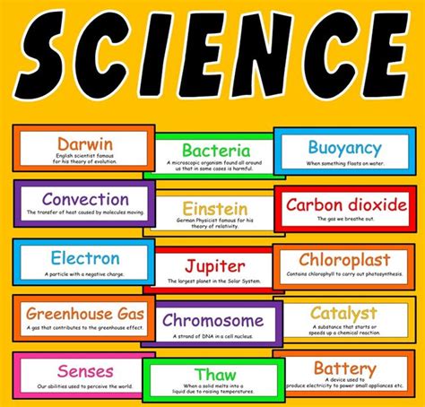 flashcards in science