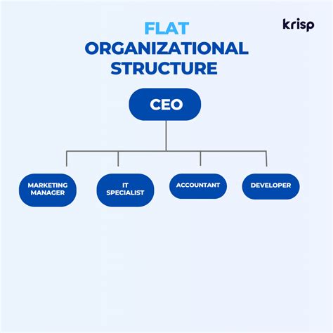 Flat Organisational Structure