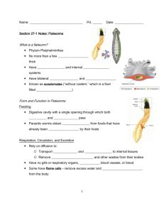 Flatworms And Roundworms Study Guide With Answers
