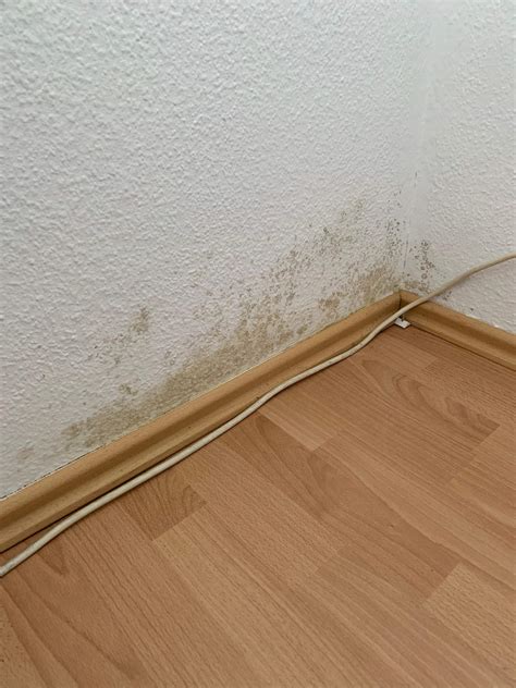 flecken an der wand kein schimmel