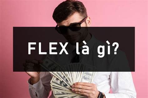 flex la gi | Flex l g Bc trn ngha ca