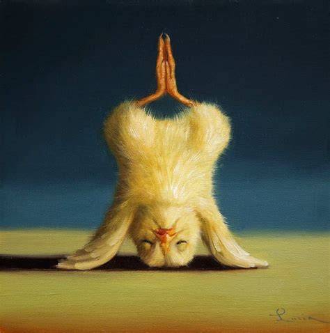 flexible nude chicks