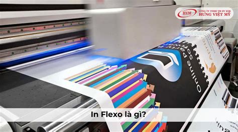 Flexão Nórdica Reversa