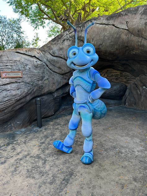 flik
