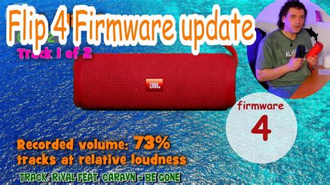 flip firmware version s