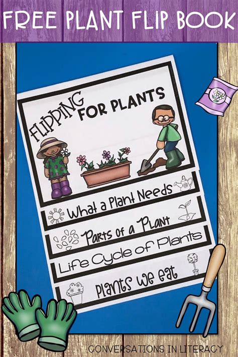 Flipping For Plants Life Cycle And Parts Of Life Cycle Of A Plant Booklet - Life Cycle Of A Plant Booklet