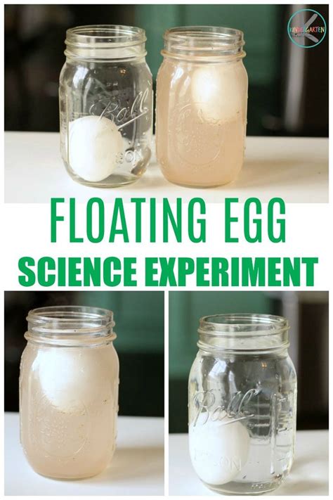 Floating Egg Experiment Easy Science Experiments Floating Science Experiment - Floating Science Experiment