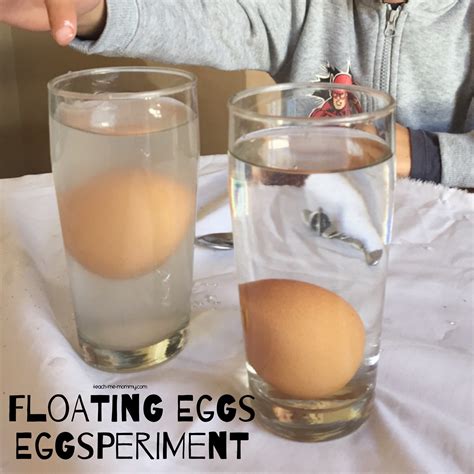 Floating Egg Science Experiment Comparing Eggs Fantastic Fun Egg Science Experiment - Egg Science Experiment