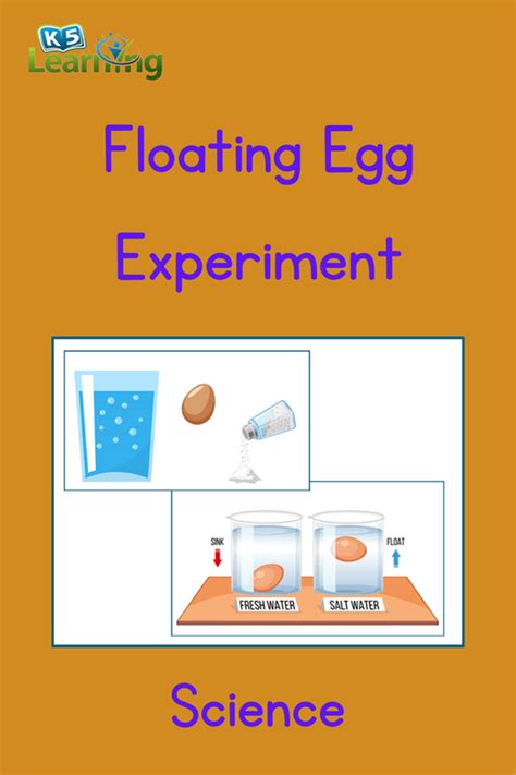 Floating Egg Science Experiment K5 Learning Egg Science Experiment - Egg Science Experiment