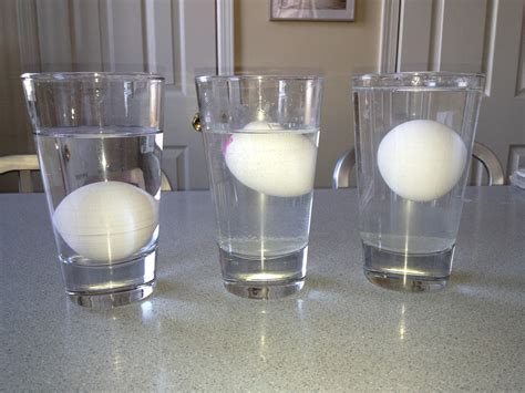Floating Egg Science Experiment Teacher Made Twinkl Floating Egg Science Experiment - Floating Egg Science Experiment