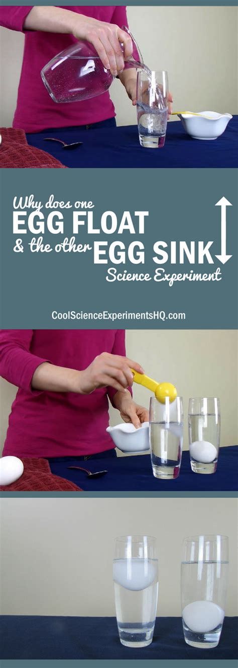 Floating Egg Science Experiments   Floating Egg Science Experiment Using Salt Sugar Amp - Floating Egg Science Experiments