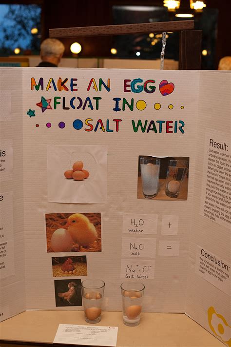 Floating Eggs Weekly Science Project Idea And Home Floating Egg Science Experiment - Floating Egg Science Experiment