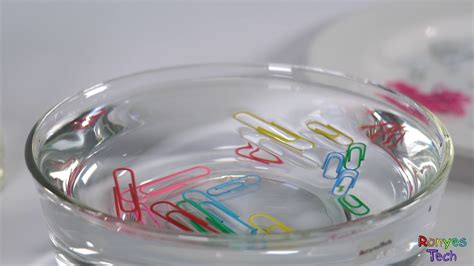 Floating Paper Clip On Water Science Experiment Go Paper Science Experiments - Paper Science Experiments