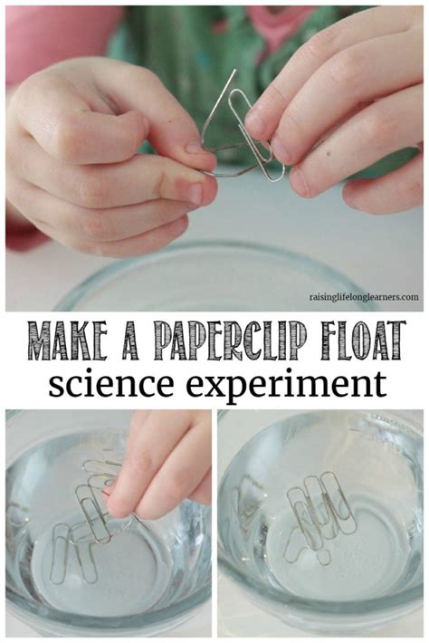 Floating Paperclip Science Experiment Abakcus Paper Clip Science - Paper Clip Science