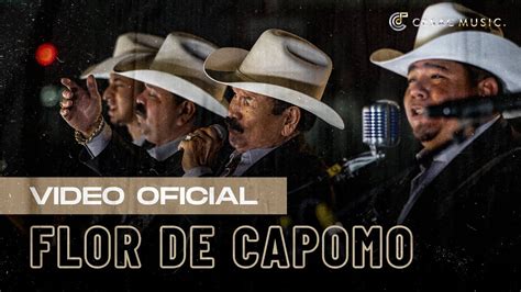 flor de capomo