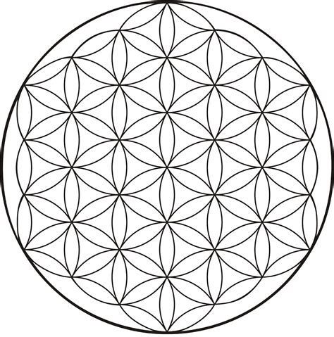 Flor De La Vida
