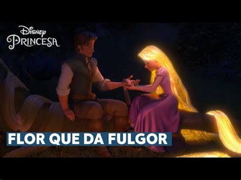 Flor Que Da Fulgor Letra