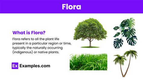 flora definition