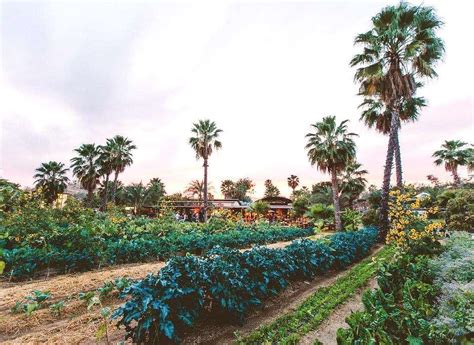 flora farms