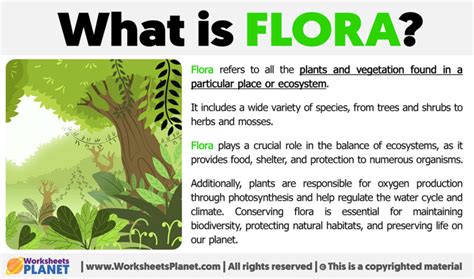 flora meaning