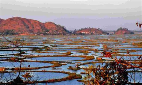 Flora Of Manipur