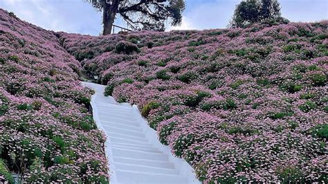flora park