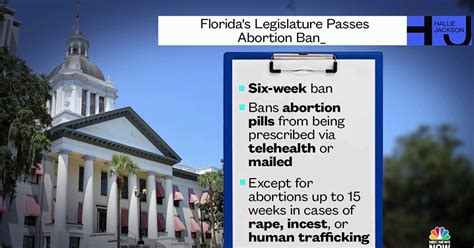 florida abortion rules