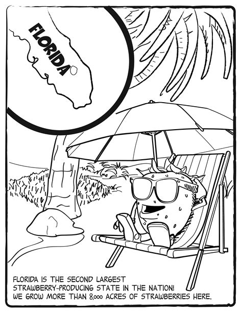 Florida Coloring Pages Free Coloring Pages Florida State Bird Coloring Page - Florida State Bird Coloring Page