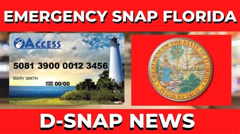 florida d-snap