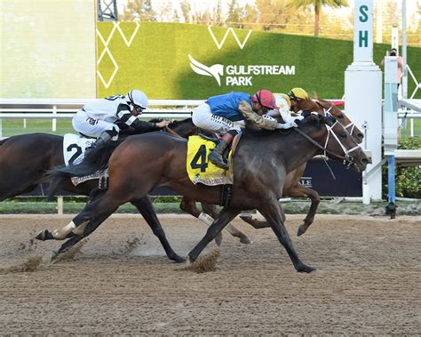 florida derby