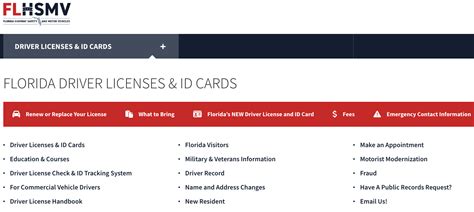 florida drivers registration