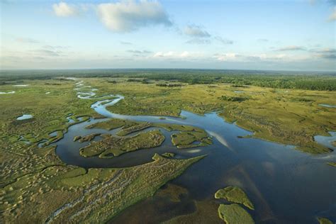 florida everglades