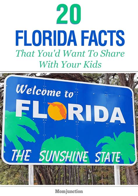 Florida Facts For Kids Florida State Map For Kids - Florida State Map For Kids