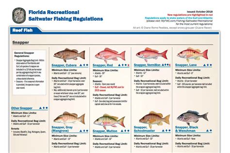 florida fish regulations