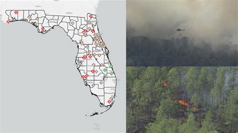 florida forest fires