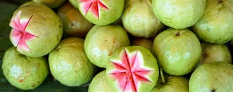 florida fruit